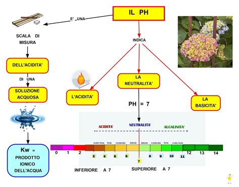 In Che Modo Il Ph Influisce Sull'Acqua?